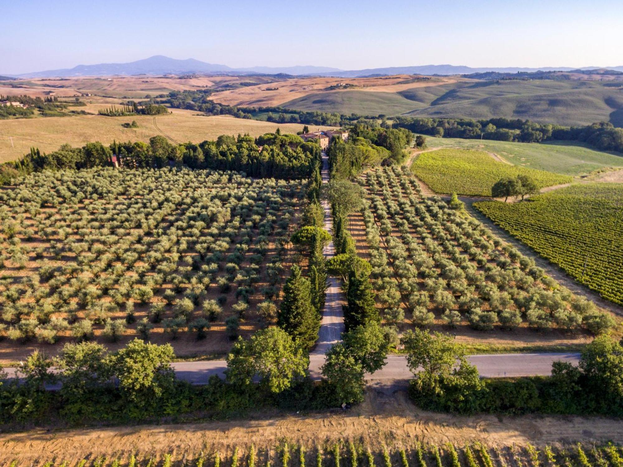 Bed and Breakfast Agriturismo Pometti - Fattoria La Selva Трекуанда Екстер'єр фото